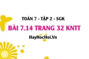 Bài 7.14 trang 33 Toán 7 Tập 2 Kết nối tri thức